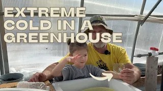 Lowest-Cost High-Tunnel Build thumbnail